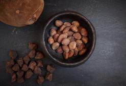 Cupuacu boter uit de Amazone- een balans van vetzuren voor de perfecte hydratie